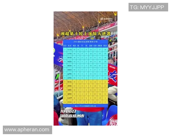 湖南足球明星盘点及其在国内外赛场的精彩表现与成就分析