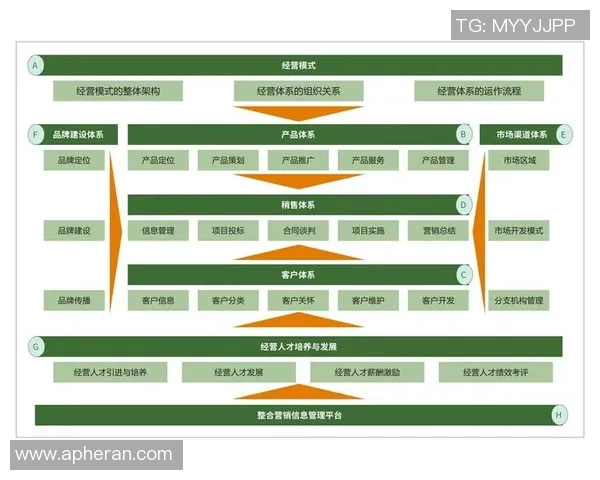 重庆足球队的运营策略与市场推广全解析